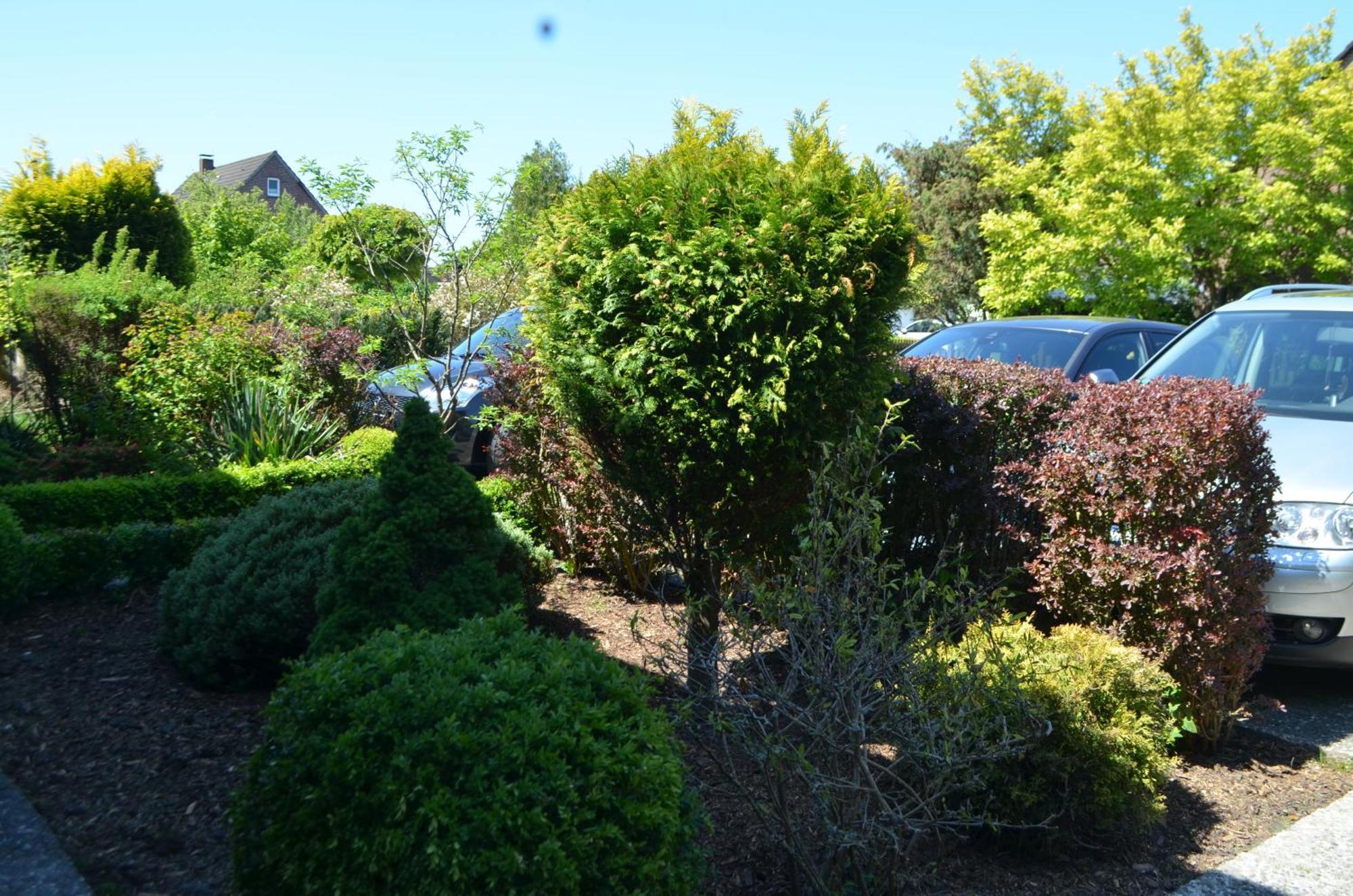 Ferienwohnung Kutter Im Schiffehaus Schillig Exterior foto